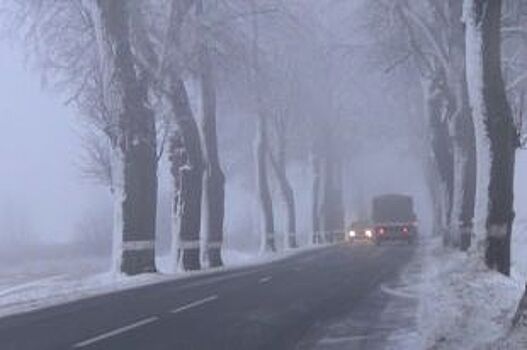 Калининградцев предупредили о тумане и изморози с гололедом