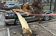 В Москве ветер срывает крыши и валит деревья