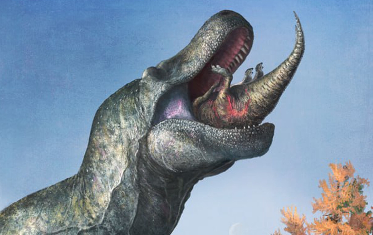 Тираннозавр рекс оказался иммигрантом из Азии, заявили палеонтологи