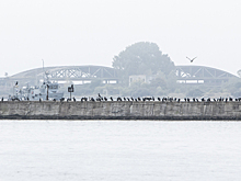 На Балткосу запустят водное такси