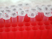 В Ростовской области рассказали о ситуации с COVID-19