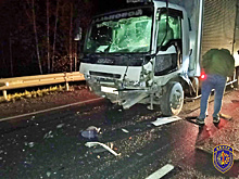 Спасатели рассказали детали смертельного ДТП на трассе «Амур»