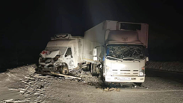 Водитель грузовика оказался в больнице после жёсткого ДТП в Пуровском районе. ФОТО