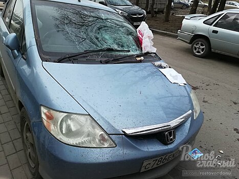В Ростове выброшенный из окна мусор разбил иномарку
