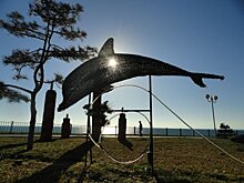 Власти Краснодарского края изменили правила въезда для туристов