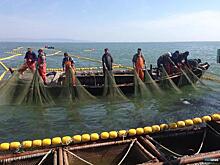 Промысловиков Хабкрая ждет больше ограничений в осеннюю путину