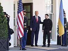 В Раде оценили планы Трампа на Зеленского
