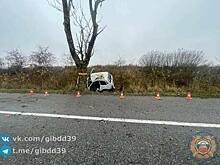 В Озерском районе разогнавшаяся легковушка врезалась в дерево