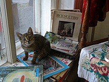 Биографические подробности