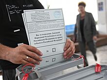 Явка избирателей в ЛНР на референдуме составляет 83,61%