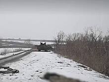 В Ирландии ужаснулись ситуации в Курской области