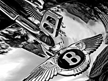 Bentley не будет создавать спорткар