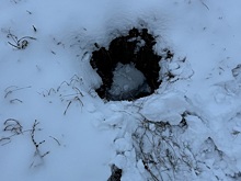 Под Рязанью нашли ловчую яму для детей