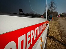 Пожары в зоне Чернобыля добрались до  Белоруссии