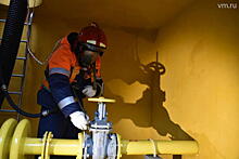 Эксперт оценил сотрудничество России и Боливии в газовой отрасли