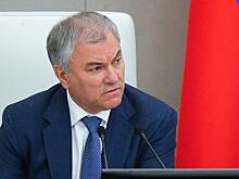 Володин предложил новые меры против уехавших из России граждан