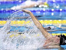 ЧМ по водным видам спорта — 2025 — результаты, календарь, медальный зачёт на 29 июля