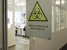 В мире от коронавируса умерли свыше 2,11 млн человек