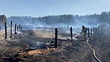 Десятки волн огня: в Сибири раньше обычного начался пожароопасный сезон