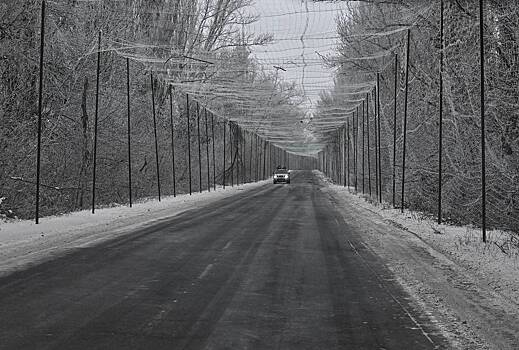Стало известно о задуманном США и Украиной в Донбассе