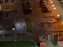 В Подмосковье мигранты устроили массовую драку со стрельбой