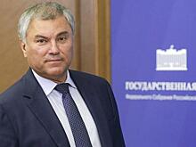 «Приедут загорелые и больные»: спикер Госдумы отважился и дал совет россиянам
