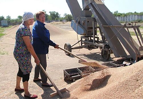 8 млн тонн зерна на начало августа уже в закромах Ставропольского края