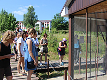 Посещаемость Жигулевского заповедника выросла на 40 %