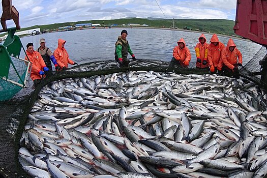 Китай запретил рыбу из России из-за опасной находки