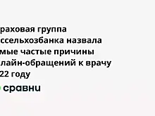 Страховая группа Россельхозбанка назвала самые частые причины онлайн-обращений к врачу 2022 году