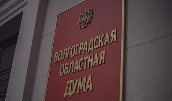 В Волгоградской области озвучена кандидатура на пост омбудсмена региона