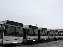 В Рязани вышли на маршруты переданные Москвой низкопольные МАЗы