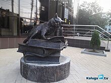 Кот ученый переехал в КГУ
