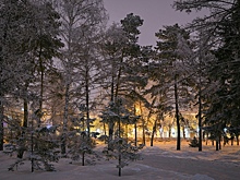 В Омске Новый год начнется с мокрого снега и дождя