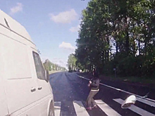 Под Петербургом фургон врезался в автомобиль и едва не убил пешехода на "зебре"