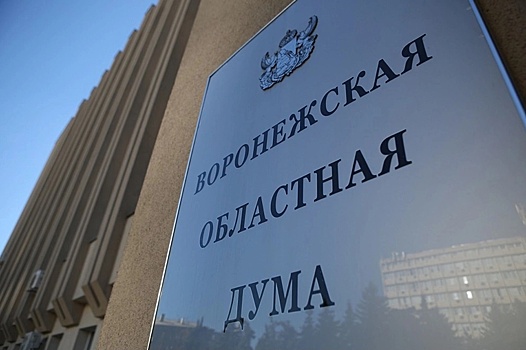 В Воронеже гордума запретила журналистам снимать заседания на телефоны