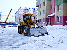 Ямальские власти предложили ослабить требования для арктических регионов по вывозу снега
