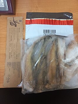 Лунный календарь рыболова на декабрь 2023 года