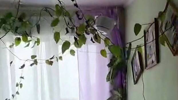 Появились кадры мощного землетрясения на Сахалине