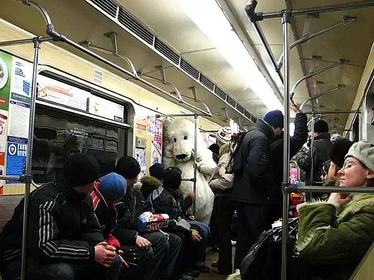 Даже белым медведям порой необходимо ездить в метро.
