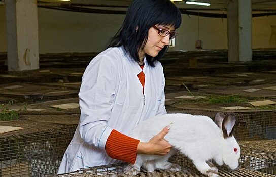 На тюменском предприятии выращивают 19 тысяч кроликов