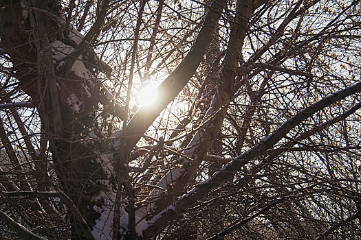 Синоптики сообщили о потеплении до +10°C в Кузбассе в четверг