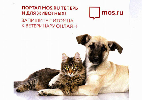 Как записаться с кошкой или собакой к ветеринару через портал mos.ru