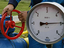 Reuters: В Польше хотят арестовать платежи европейских импортеров Газпрому