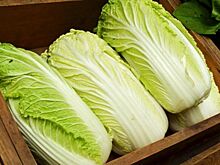 Россельхознадзор запретил ввоз пекинской капусты из Белоруссии