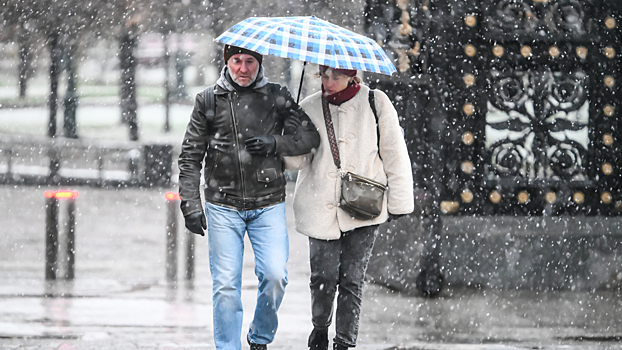 Синоптик: в среду в Москве ожидается снег с дождем