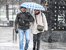 В Москве объявлен оранжевый уровень погодной опасности