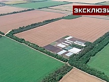 Высокий градус: как аномальная жара может отразиться на продовольственной безопасности РФ