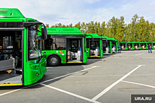 Автобусный парк Ирбита получит 11 новых автобусов