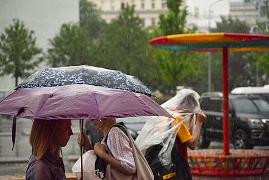 Около четверти месячной нормы осадков выпало за ночь